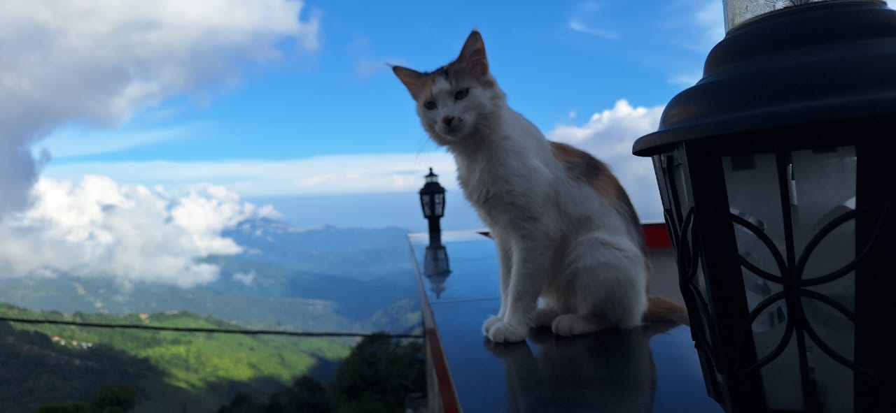 Panoramic Himalayan mountain view from homestay balcony in Majhidhura