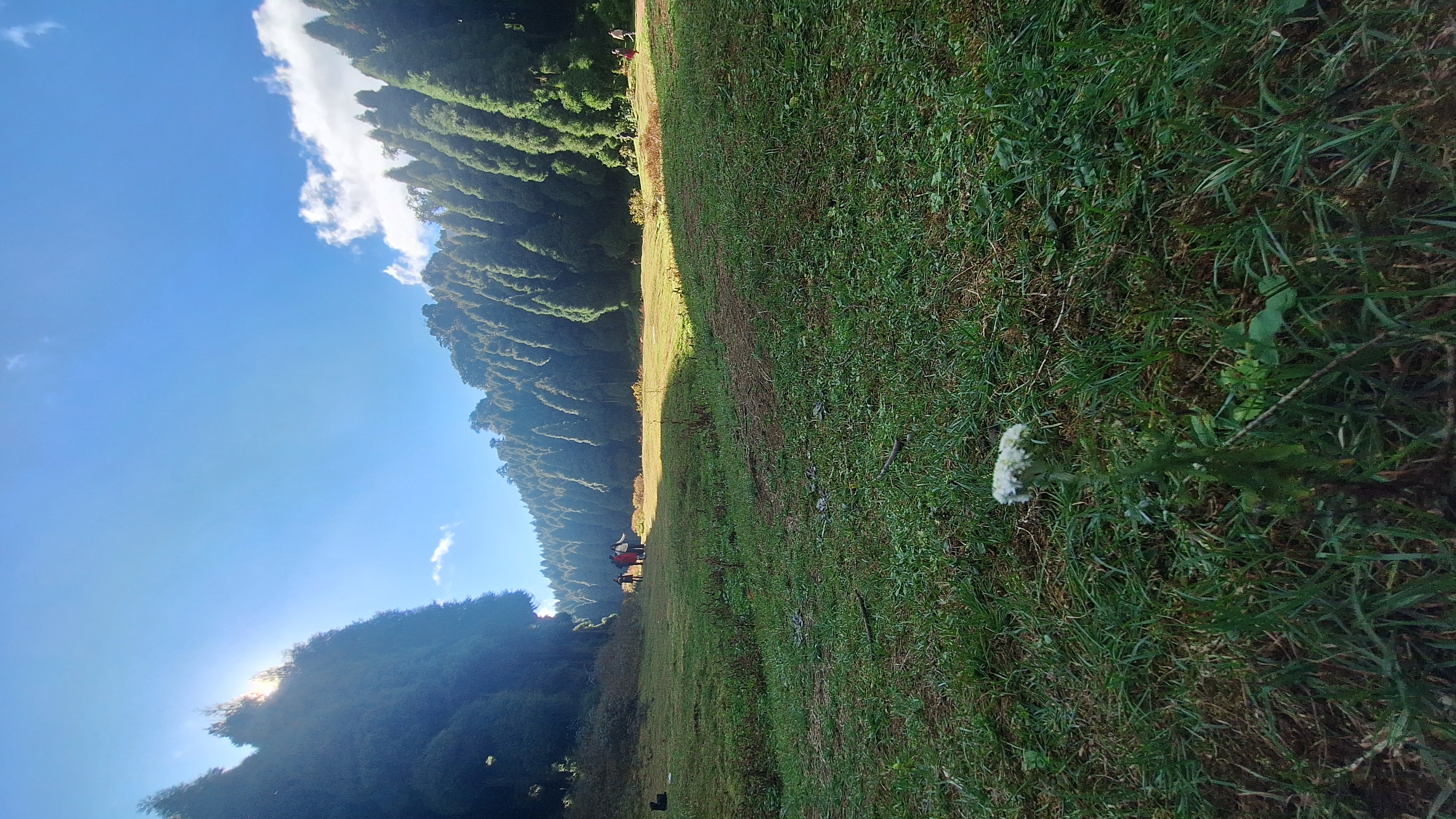 Cozy double bedroom at Yang The Sherpa Homestay Majhidhura